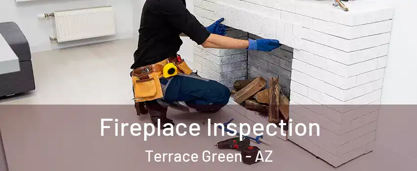 Fireplace Inspection Terrace Green - AZ