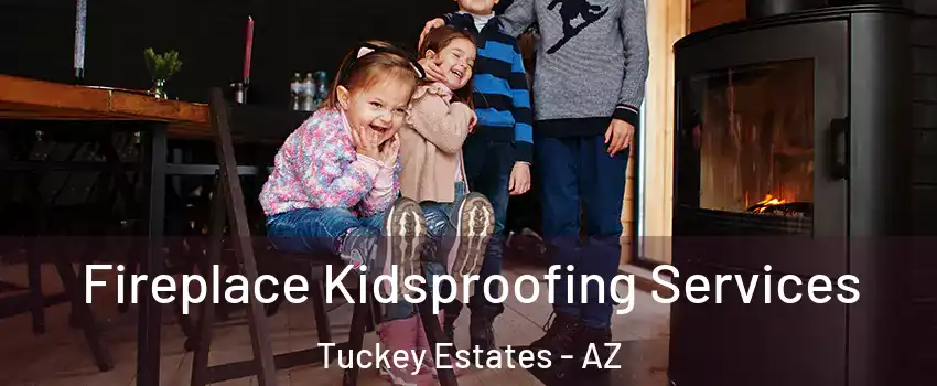 Fireplace Kidsproofing Services Tuckey Estates - AZ