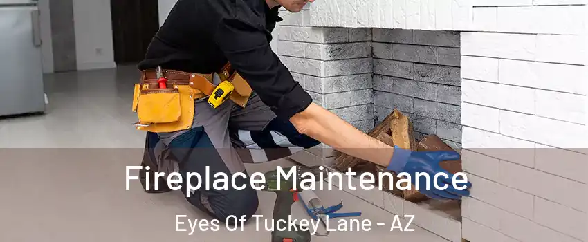 Fireplace Maintenance Eyes Of Tuckey Lane - AZ