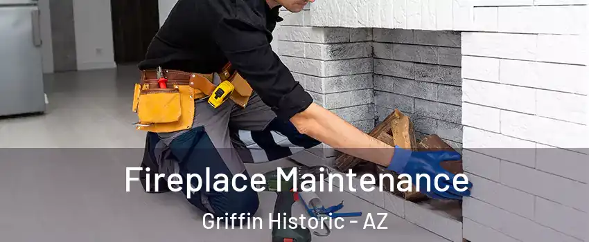 Fireplace Maintenance Griffin Historic - AZ