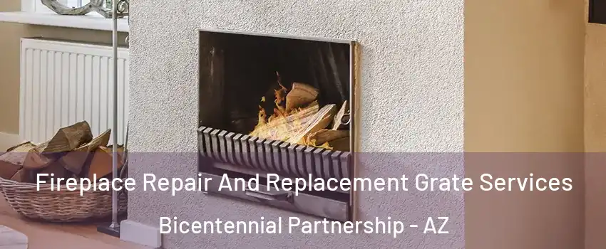 Fireplace Repair And Replacement Grate Services Bicentennial Partnership - AZ