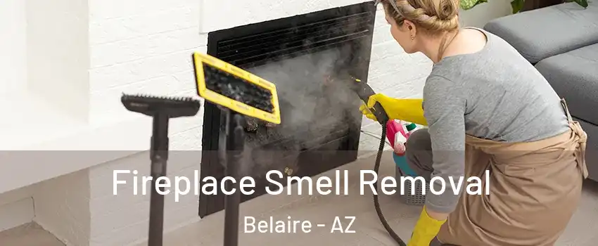 Fireplace Smell Removal Belaire - AZ