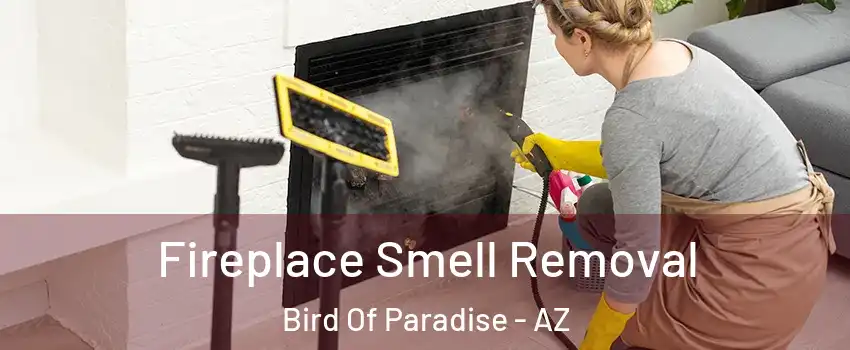 Fireplace Smell Removal Bird Of Paradise - AZ