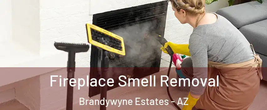 Fireplace Smell Removal Brandywyne Estates - AZ