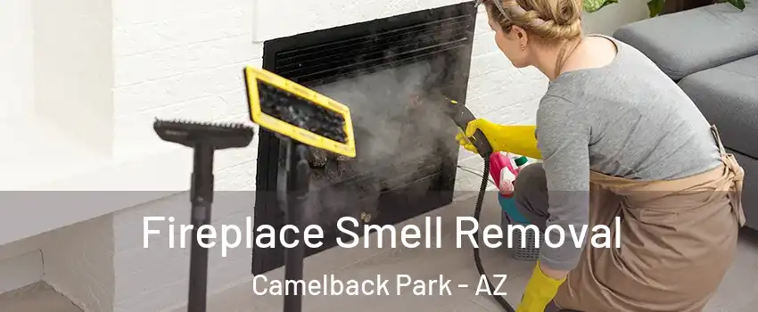 Fireplace Smell Removal Camelback Park - AZ