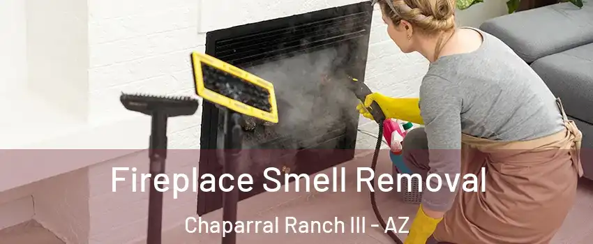 Fireplace Smell Removal Chaparral Ranch III - AZ