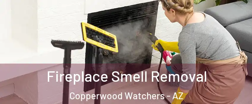 Fireplace Smell Removal Copperwood Watchers - AZ