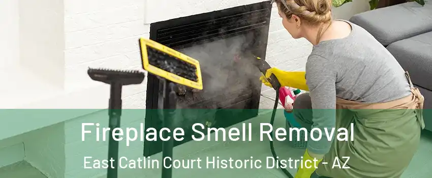 Fireplace Smell Removal East Catlin Court Historic District - AZ