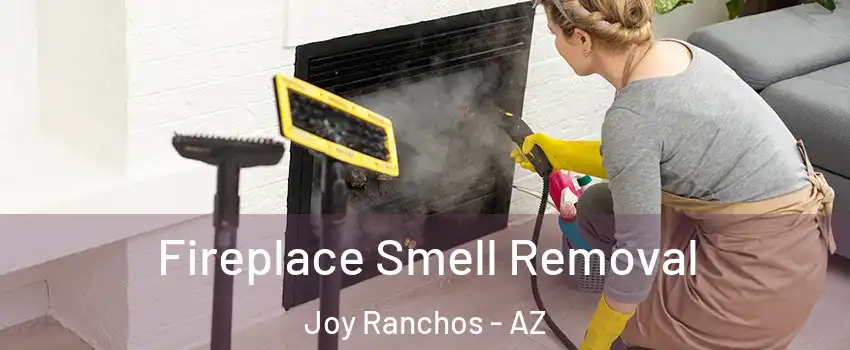 Fireplace Smell Removal Joy Ranchos - AZ