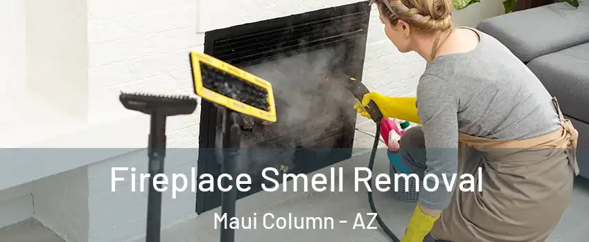 Fireplace Smell Removal Maui Column - AZ