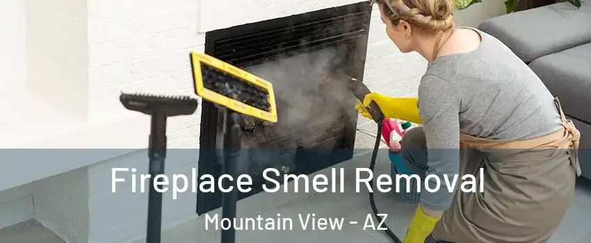 Fireplace Smell Removal Mountain View - AZ