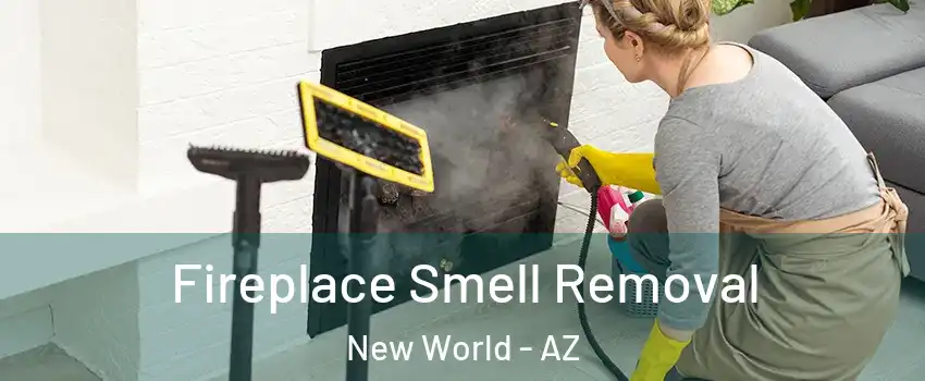 Fireplace Smell Removal New World - AZ