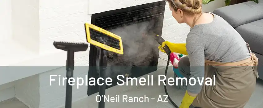 Fireplace Smell Removal O'Neil Ranch - AZ