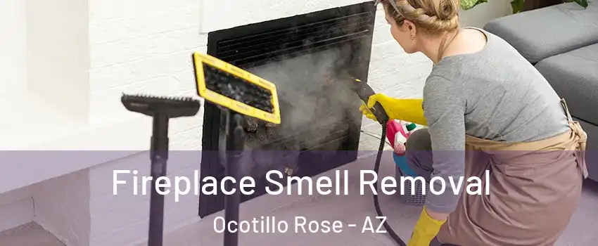 Fireplace Smell Removal Ocotillo Rose - AZ