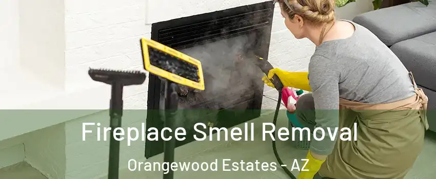 Fireplace Smell Removal Orangewood Estates - AZ