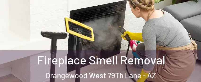 Fireplace Smell Removal Orangewood West 79Th Lane - AZ