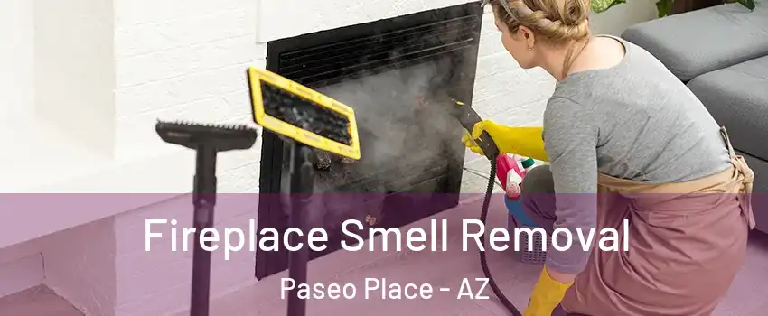 Fireplace Smell Removal Paseo Place - AZ