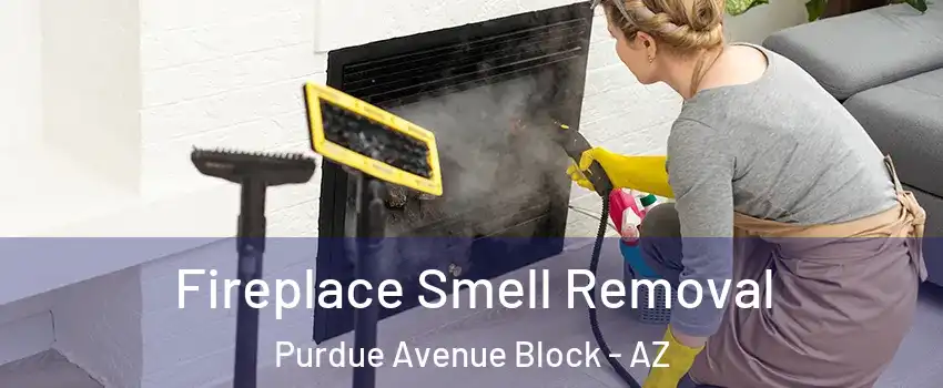 Fireplace Smell Removal Purdue Avenue Block - AZ