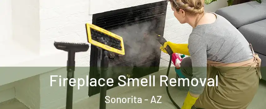 Fireplace Smell Removal Sonorita - AZ