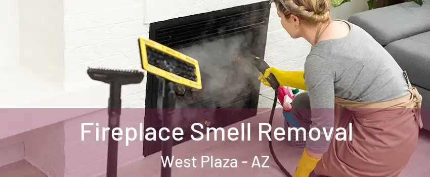 Fireplace Smell Removal West Plaza - AZ