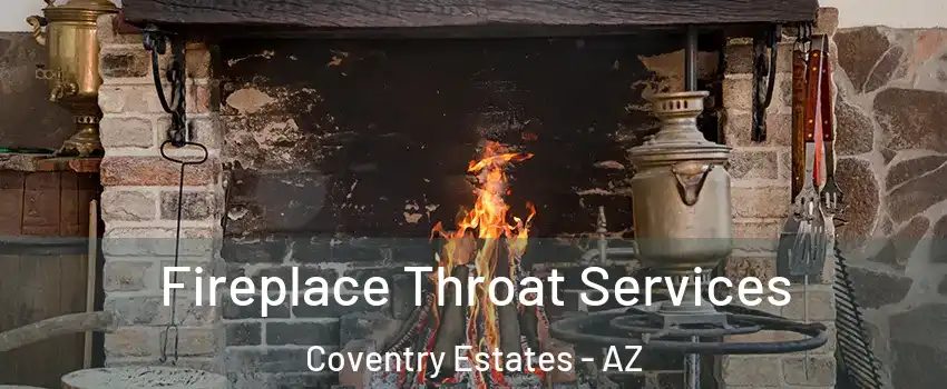 Fireplace Throat Services Coventry Estates - AZ