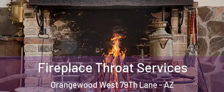 Fireplace Throat Services Orangewood West 79Th Lane - AZ