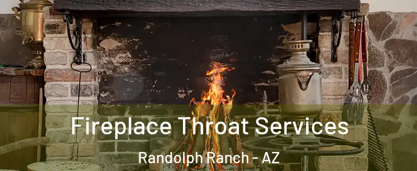 Fireplace Throat Services Randolph Ranch - AZ