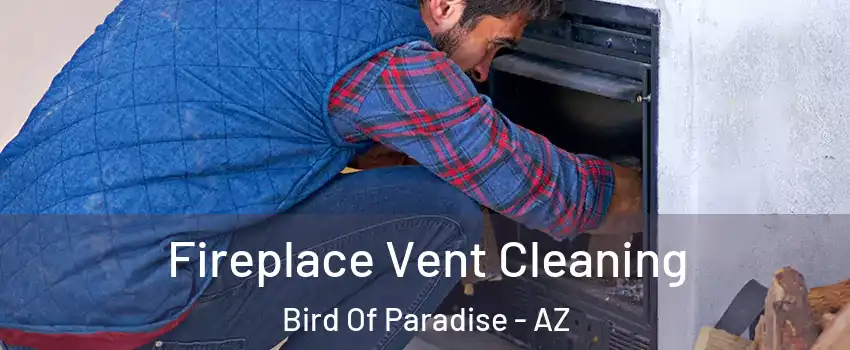 Fireplace Vent Cleaning Bird Of Paradise - AZ