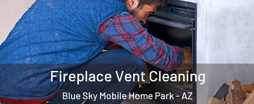 Fireplace Vent Cleaning Blue Sky Mobile Home Park - AZ