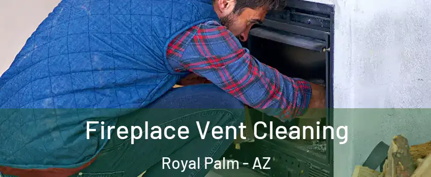 Fireplace Vent Cleaning Royal Palm - AZ