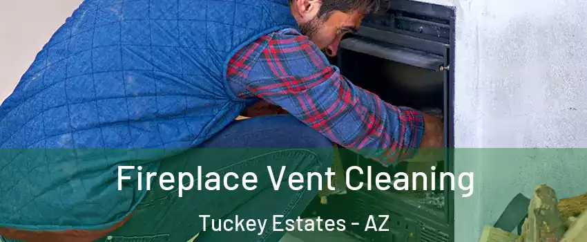 Fireplace Vent Cleaning Tuckey Estates - AZ