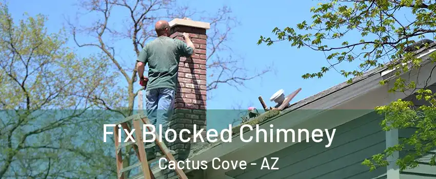 Fix Blocked Chimney Cactus Cove - AZ