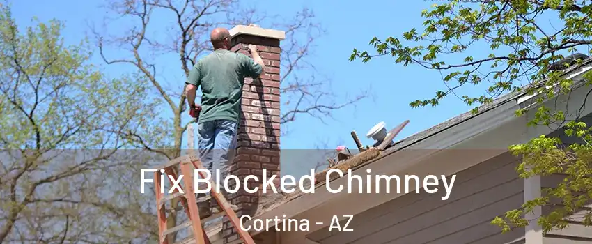 Fix Blocked Chimney Cortina - AZ