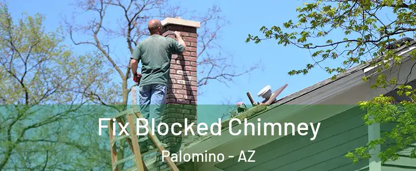 Fix Blocked Chimney Palomino - AZ