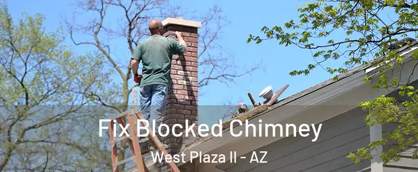 Fix Blocked Chimney West Plaza II - AZ