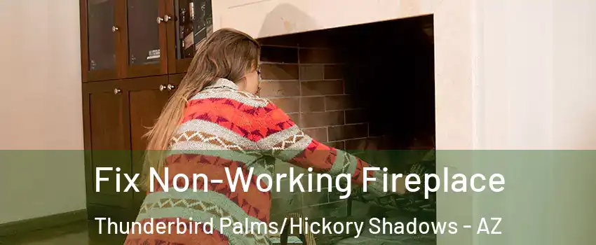 Fix Non-Working Fireplace Thunderbird Palms/Hickory Shadows - AZ