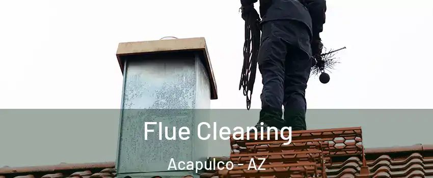 Flue Cleaning Acapulco - AZ