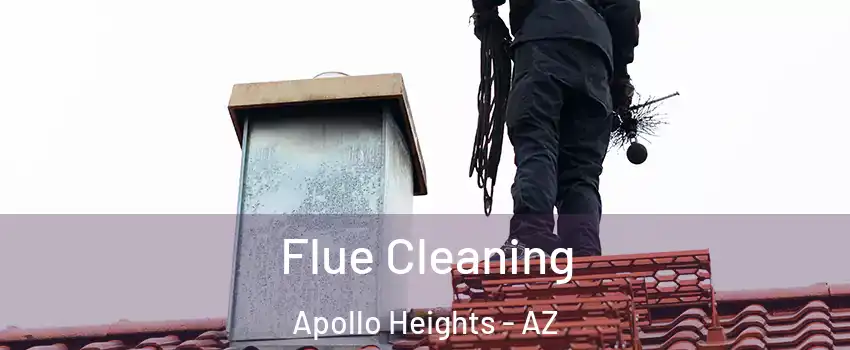 Flue Cleaning Apollo Heights - AZ