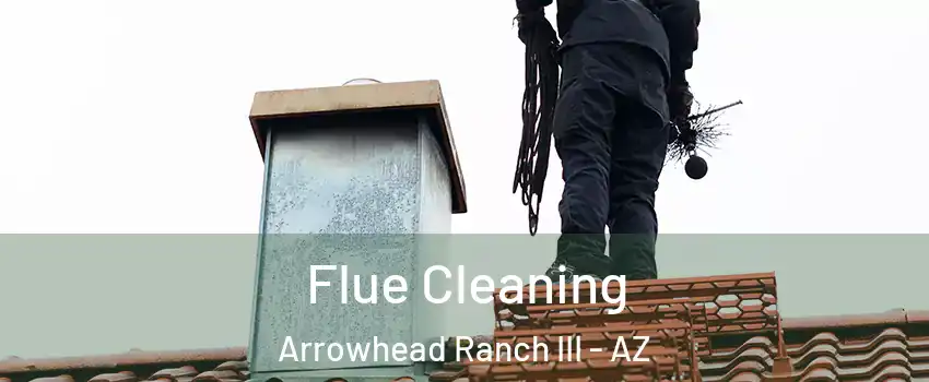 Flue Cleaning Arrowhead Ranch III - AZ