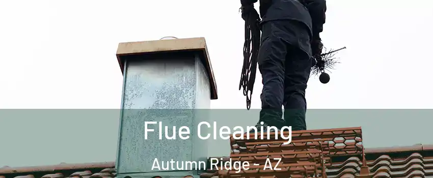 Flue Cleaning Autumn Ridge - AZ