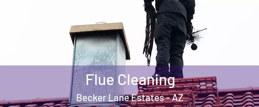 Flue Cleaning Becker Lane Estates - AZ