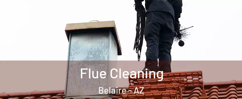 Flue Cleaning Belaire - AZ