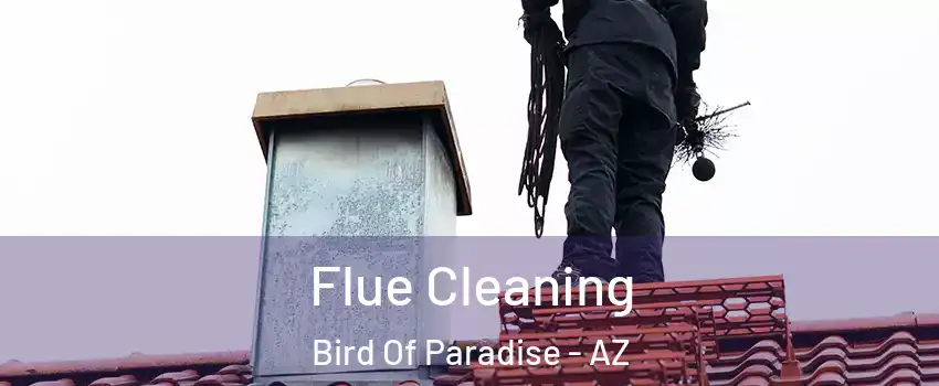 Flue Cleaning Bird Of Paradise - AZ