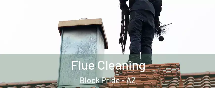 Flue Cleaning Block Pride - AZ