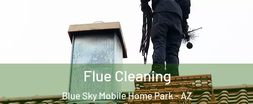 Flue Cleaning Blue Sky Mobile Home Park - AZ