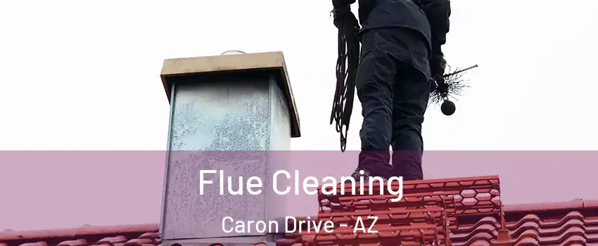 Flue Cleaning Caron Drive - AZ