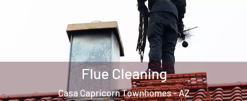 Flue Cleaning Casa Capricorn Townhomes - AZ