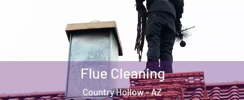 Flue Cleaning Country Hollow - AZ