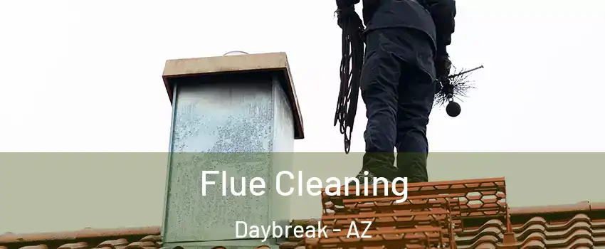 Flue Cleaning Daybreak - AZ