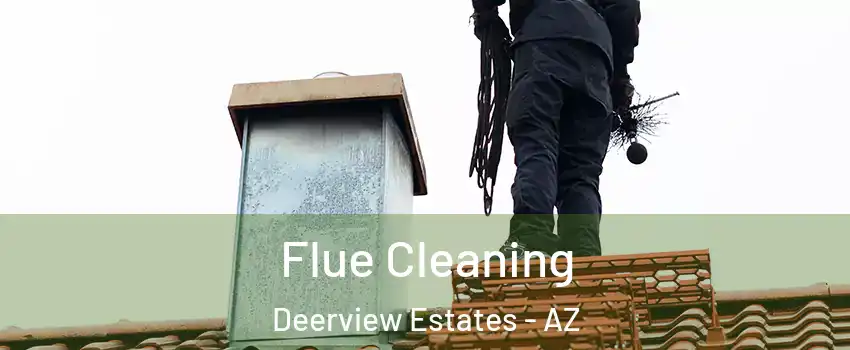 Flue Cleaning Deerview Estates - AZ